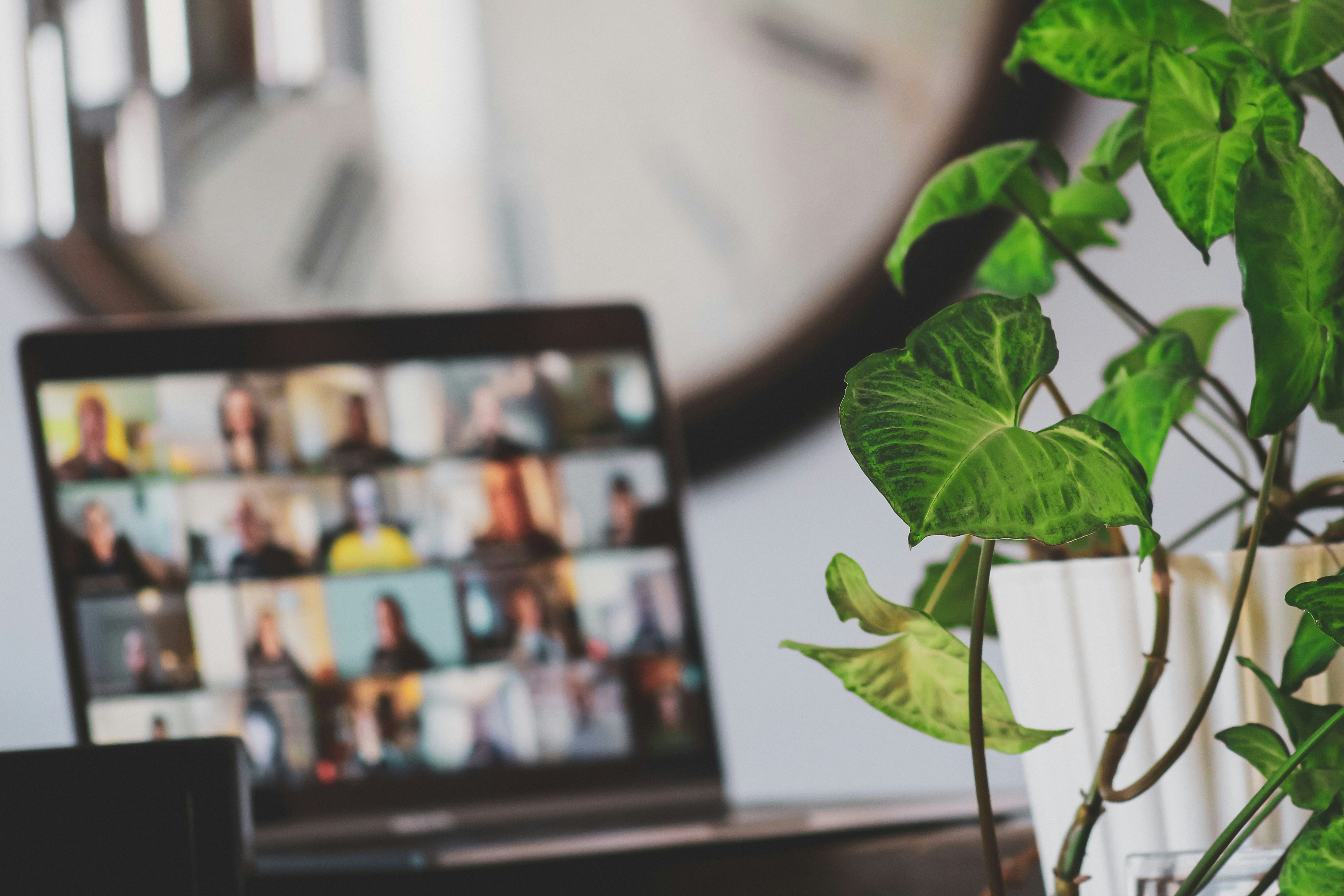 Laptop showing a virtual group video call with a plant and clock in the background