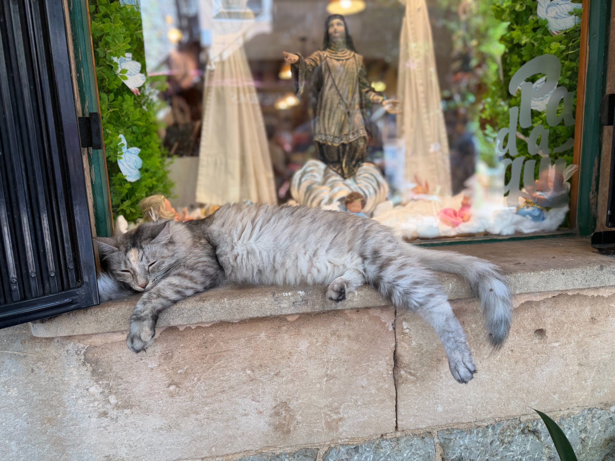 A grey cat sleeping deeply on a stone ledge outside a shop window